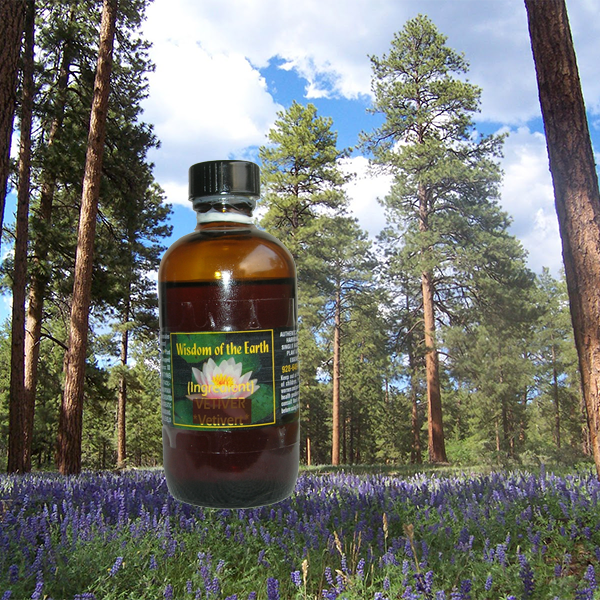 Pine Ponderosa 120ml