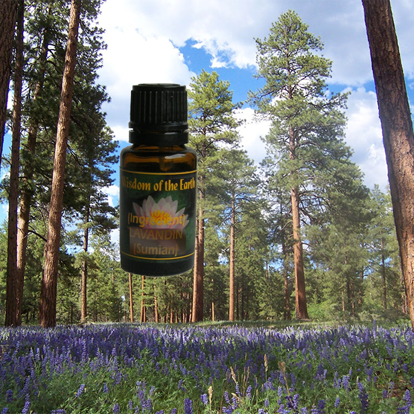 Pine Ponderosa 15ml