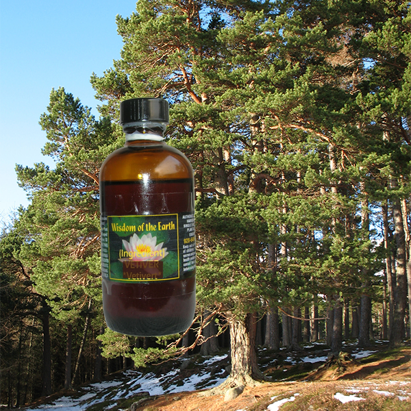 Pine Scotch Needle 120ml
