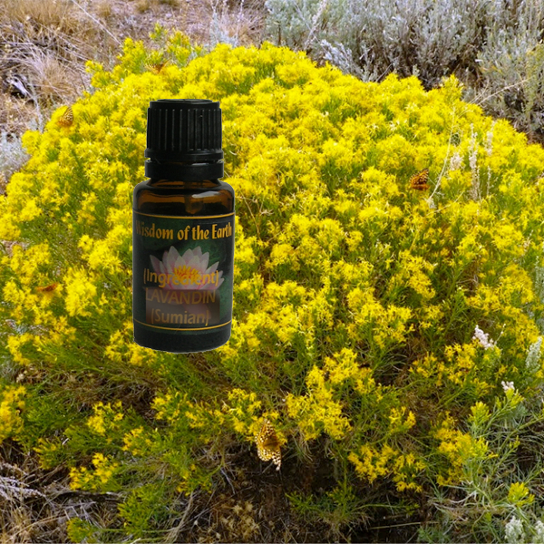 Rabbit Brush 15ml