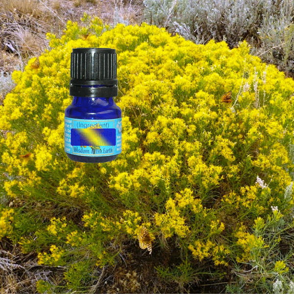 Rabbit Brush 5ml