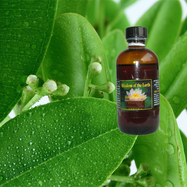 Ravensara Aromatica - 120 ml