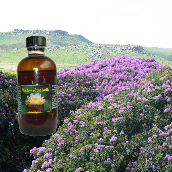 Rhododendron 120ml