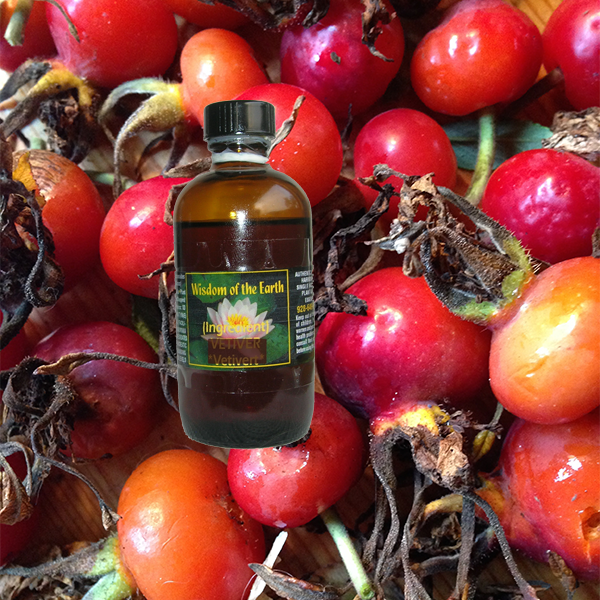 Rosa Rubiginosa Lycotop 120 ml