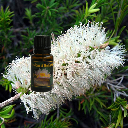 Rosalina 15ml