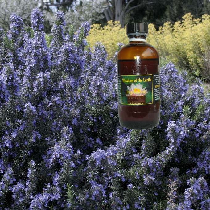 Rosemary Cineole EO Organic 120ml