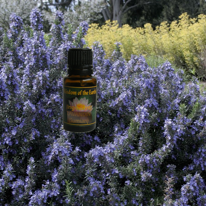 Rosemary Cineole EO Organic 15ml