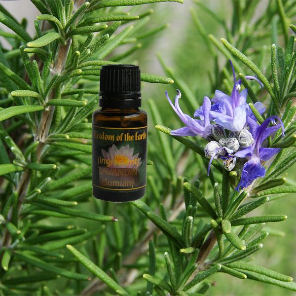Rosemary Verbenone 5ml