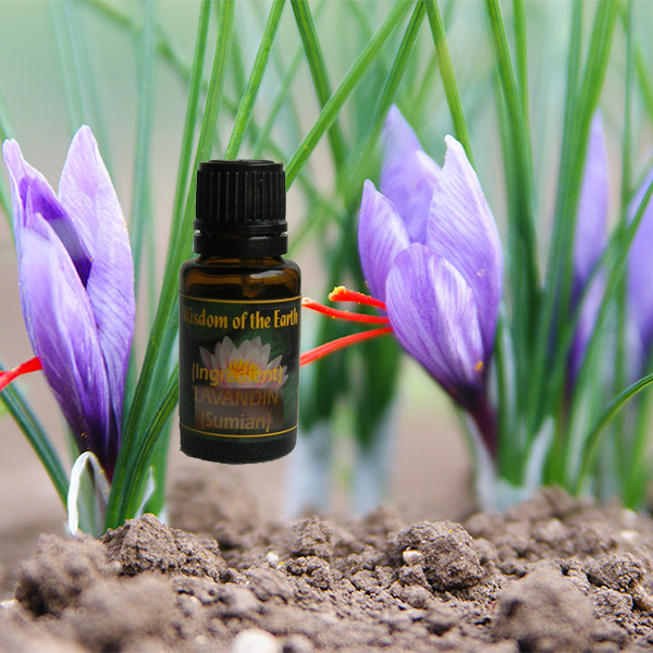 Saffron 15ml