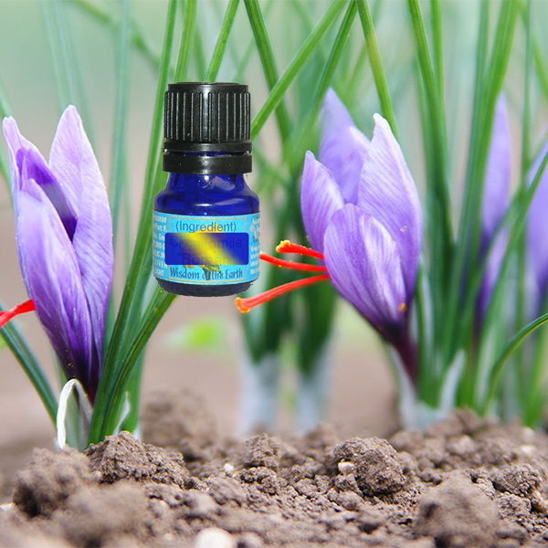 Saffron 5ml