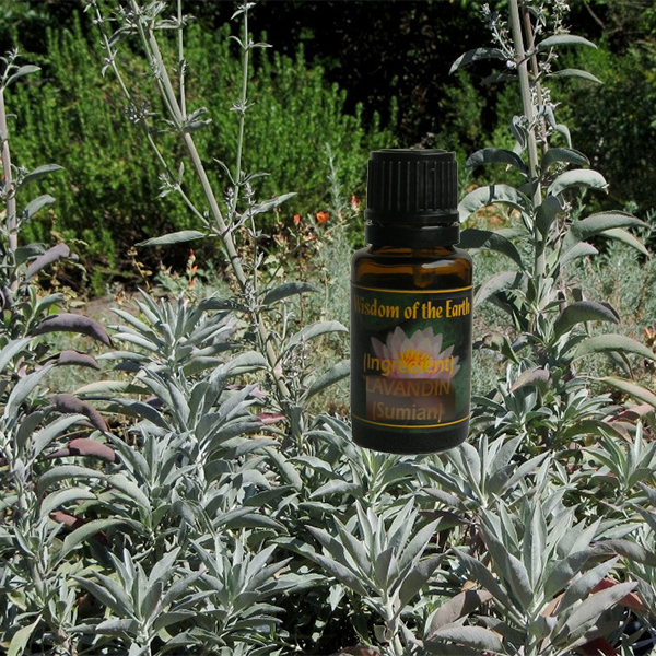 Sage White 15ml