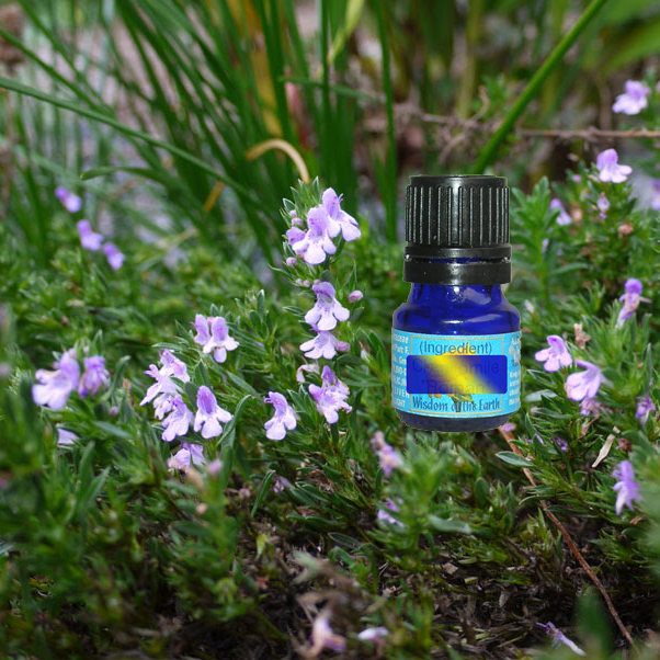Savory Mountain Highland 5ml