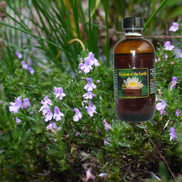 Savory Mountain (Winter) 120ml