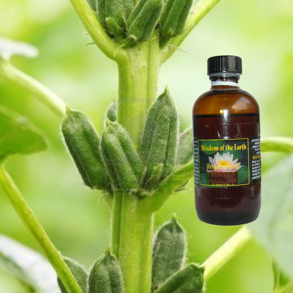 Sesame Seed Oil (Toasted) - 120 ml