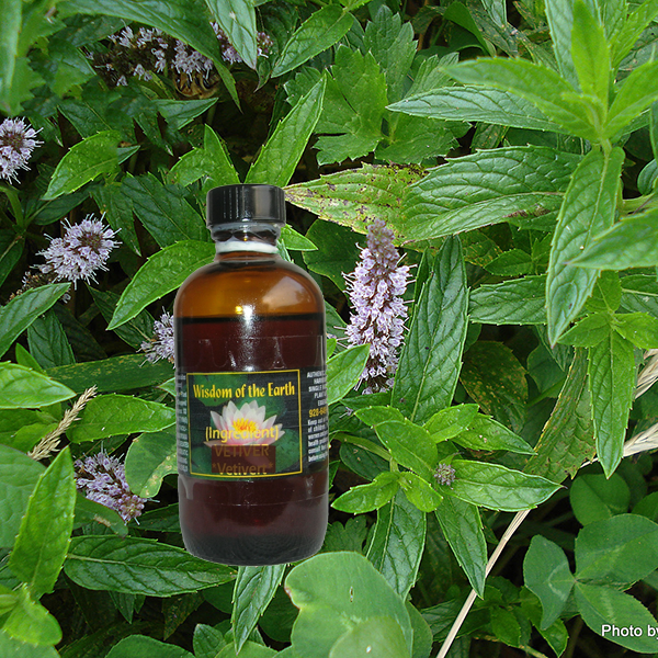 Spearmint 120ml