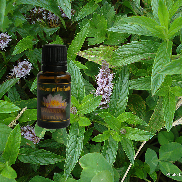 Spearmint 15ml