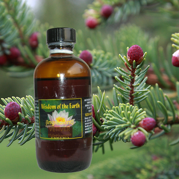 Spruce Black 120ml
