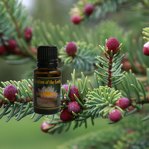 Spruce Black 15ml