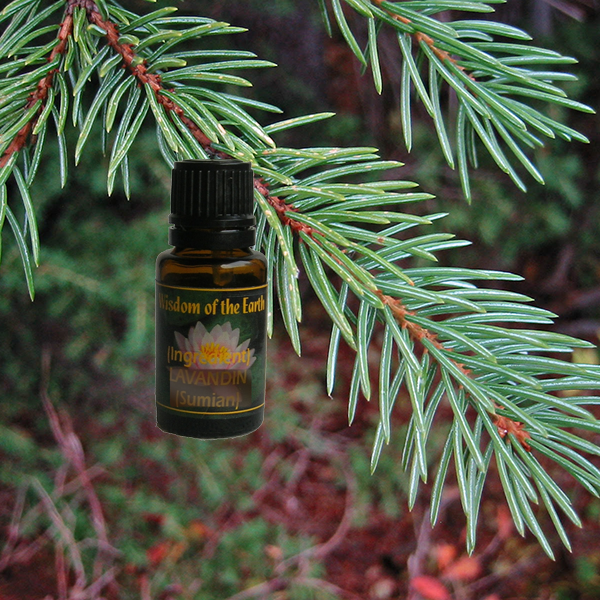Spruce Englemann 15ml