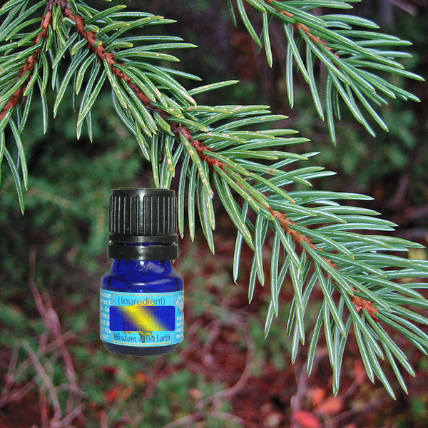 Spruce Englemann 5ml