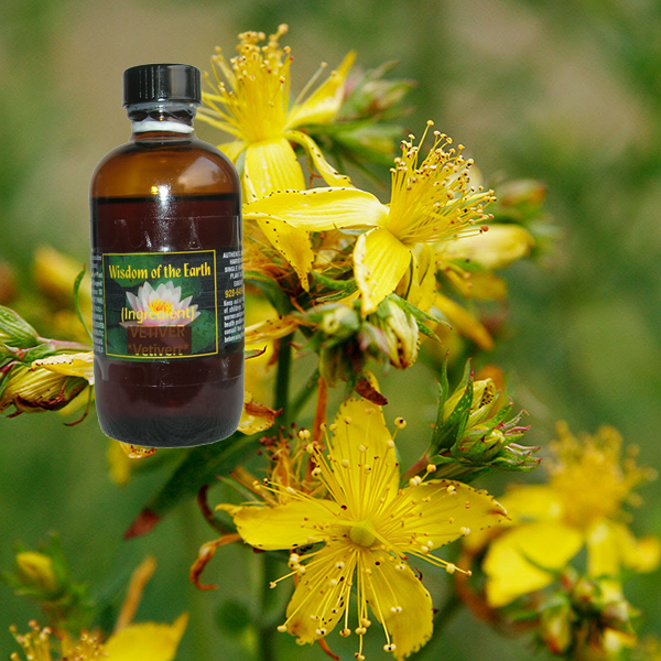 St Johns Wort 120ml