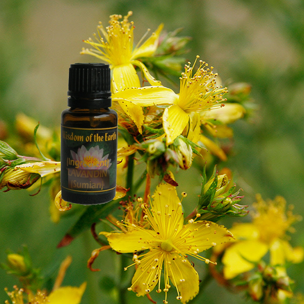 St Johns Wort 15ml