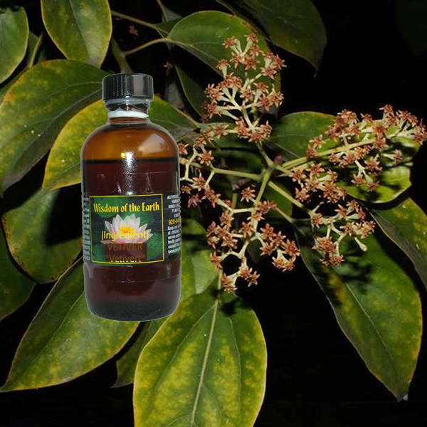 Suganda Kokila 120ml
