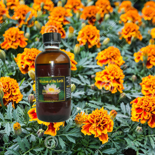 Tagetes Marigold 120ml