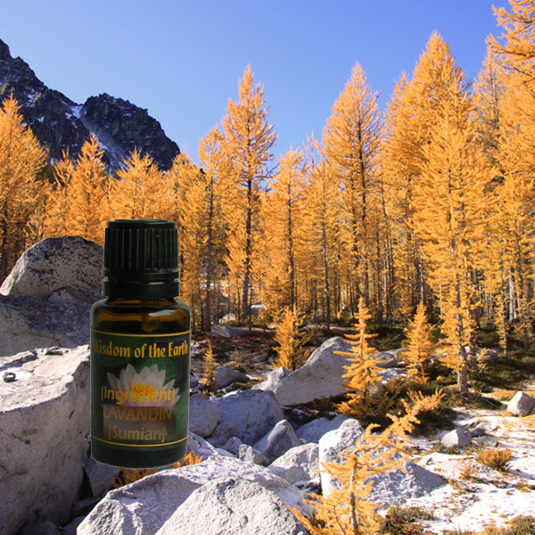 Tamarack 15ml