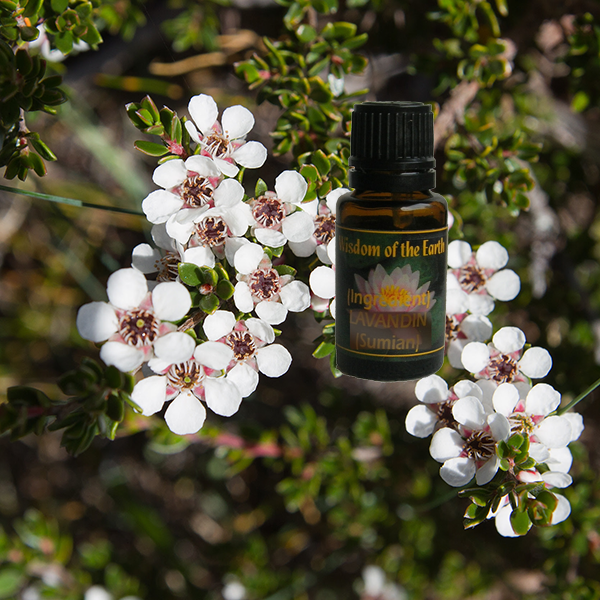 Tea Tree Lemon 15ml