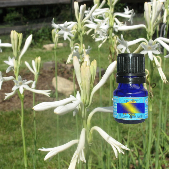 Tuberose (Absolute) 5ml