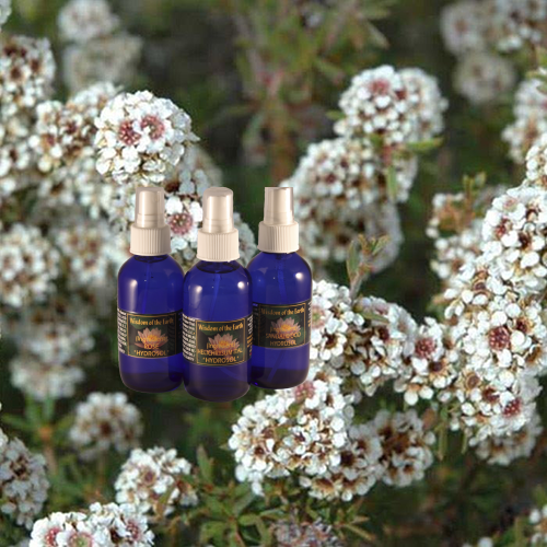 Fragonia Hydrolat - 120 ml
