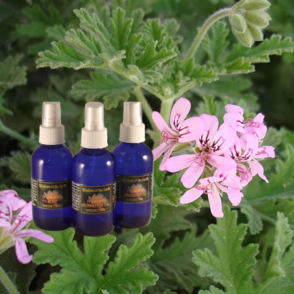 Geranium Hydrolat - 120 ml