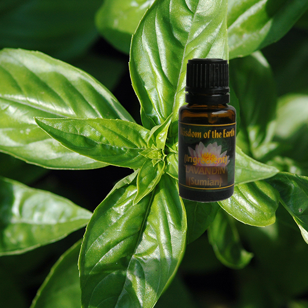 Basil True 15ml