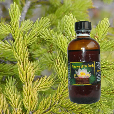 Spruce Red 120ml