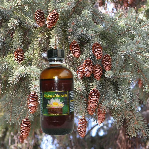 Spruce White 120ml