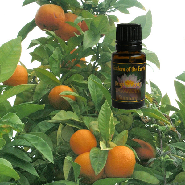 Orange Blood Red, Belize 15ml