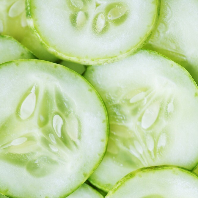 Cucumber Seed Hydrolat 120ml