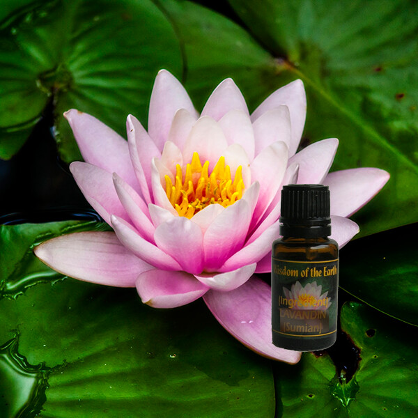 Lotus Pink 15ml (Absolute)