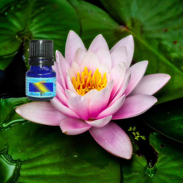 Lotus Pink 5ml (Absolute)