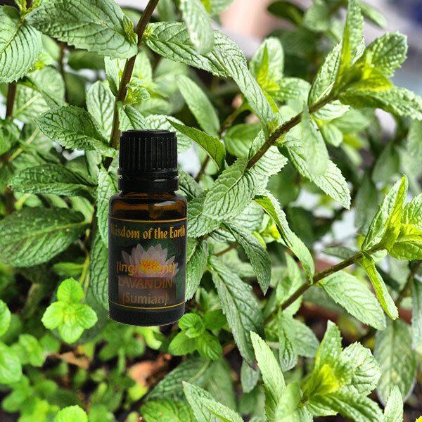 Peppermint India Organic 15ml