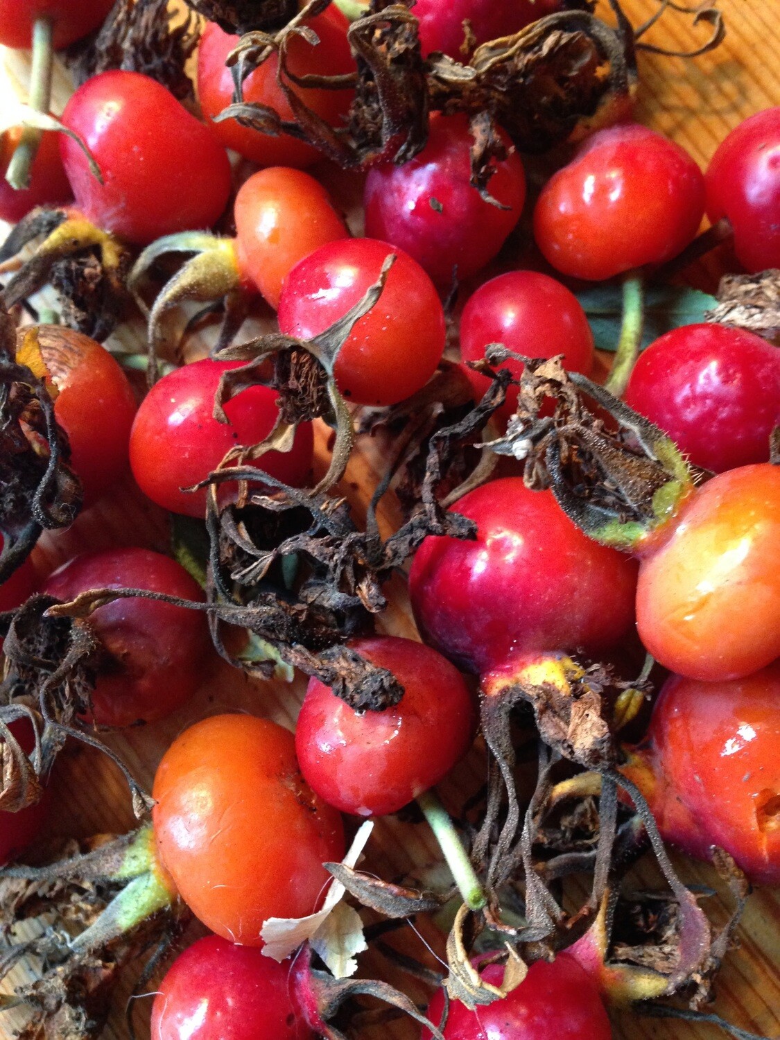 Rosa Rubiginosa 500 ml