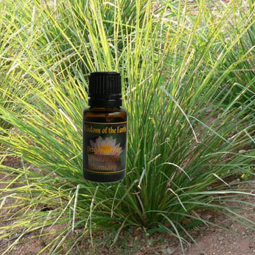 Vetiver 5ml (15ml pictured)