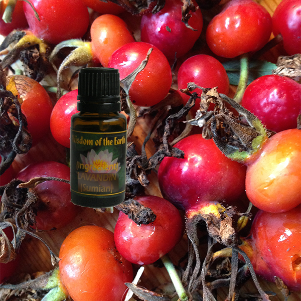 Rosa Rubiginosa (Rose Hip Seed) Lycotop 15 ml