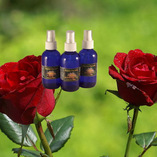 Rose Hydrolat 120ml