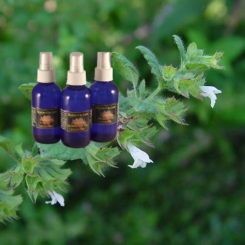 Melissa Hydrolat - 120 ml