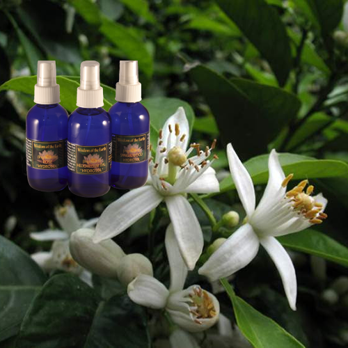 Neroli (Orange Blossom) 120ml - Hydrolat