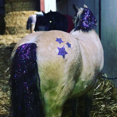 Glitter Glamour Pony Paste Manes Tails Feet Glitter Tattoo