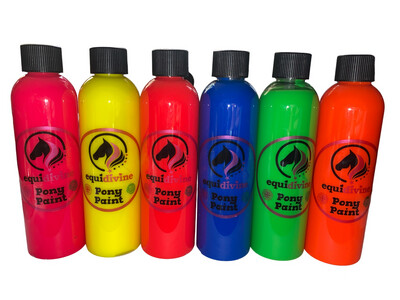 Pack of 6 Pony Paint NEON