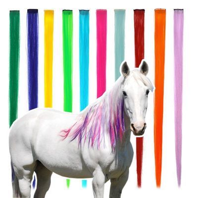Mane & Tail Colour Extensions Pack of 5